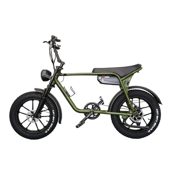 2024 NEW MAMBA SAHARA FAT TYRE EBIKE 750W 48V17AH Battery GREEN